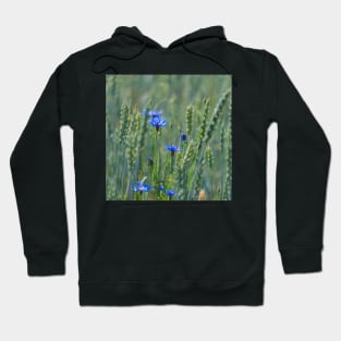 Cornflowers in a wheat field Hoodie